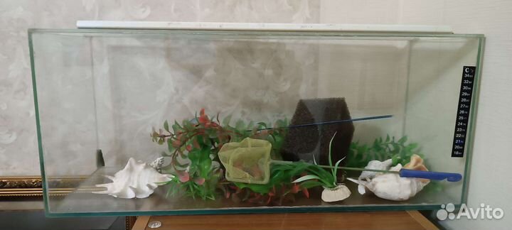 Аквариум