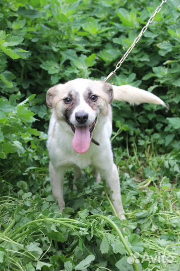 Миниатюрная девочка