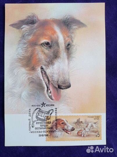 Картмаксимумы 1988г