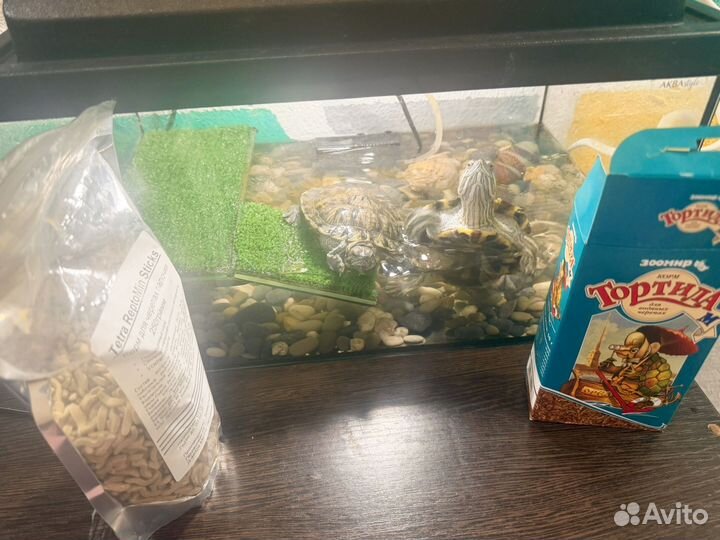 Аквариум с черепахами