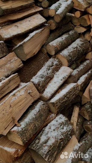 Дрова дубовые и берёзовые