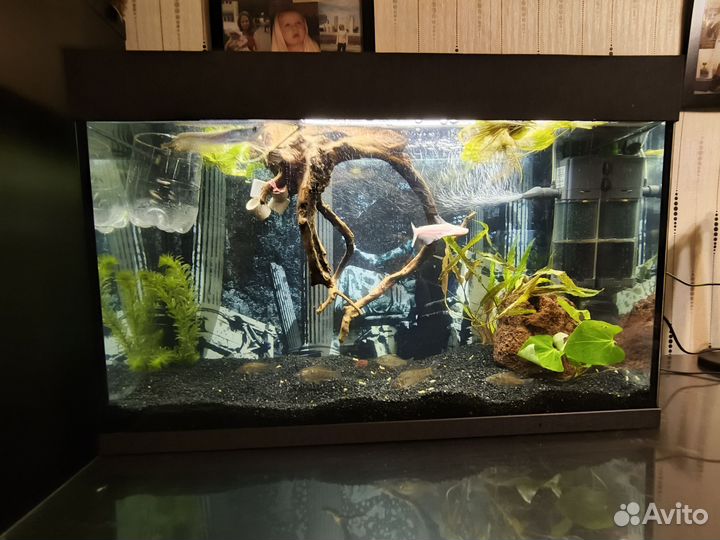 Аквариум