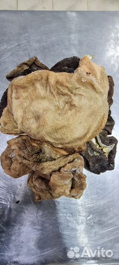 Фарш говяжий, обрезь говяжья для собак в уп