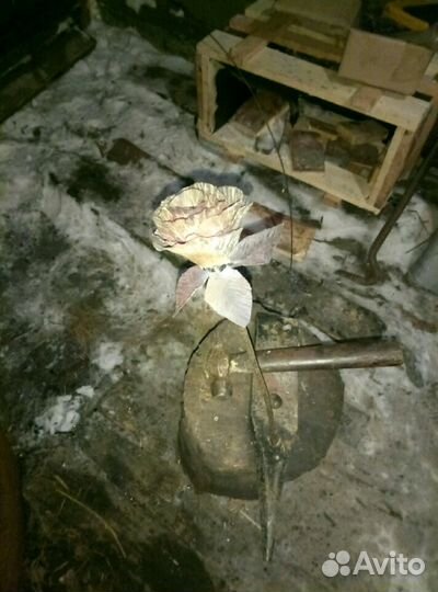 Роза