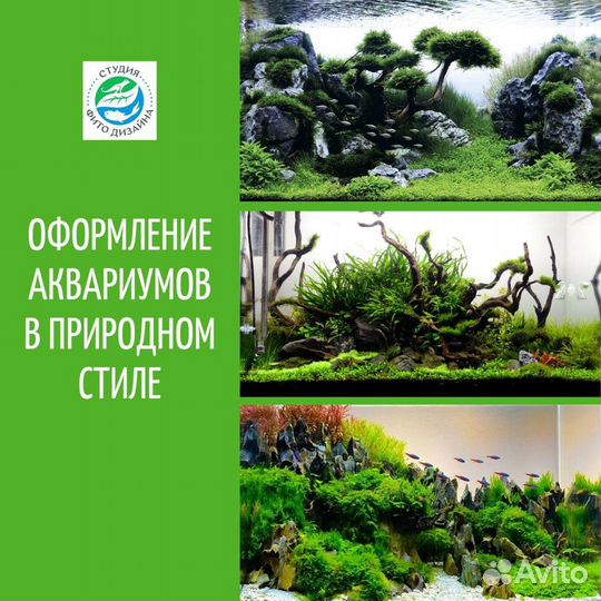 Дизайн аквариума