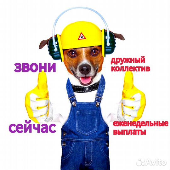 Работа/Подработка/Упаковщик
