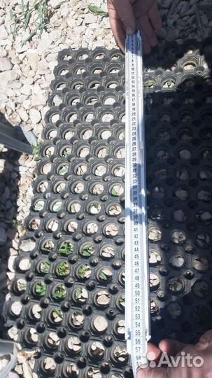 Лампа дневного света 12 в для автодома