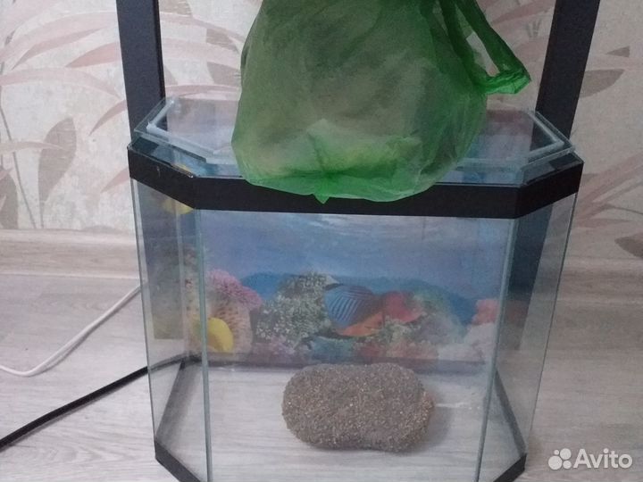 Аквариум для черепах