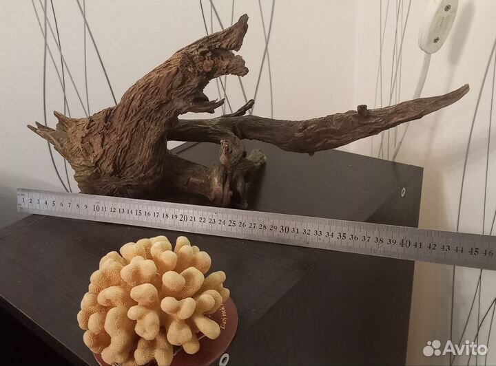 Коряги в аквариум