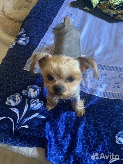 Милый мальчишка ждет свою принцесску