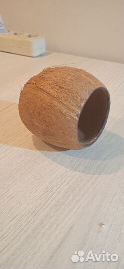 Аквариумные растения