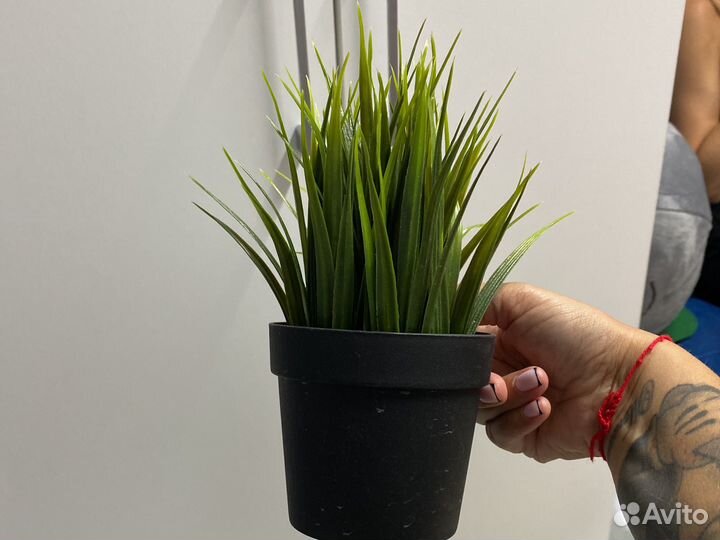 Искусственные цветы IKEA