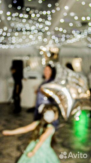 Фотосессия