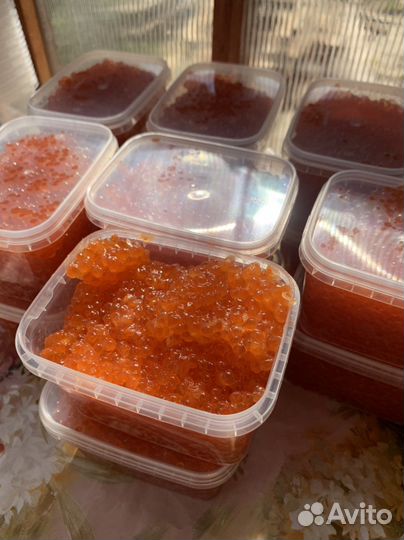 Красная икра 2023