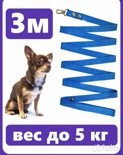 Поводок и шлейка