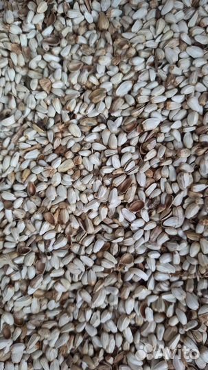 Сафлор (белая семечка)