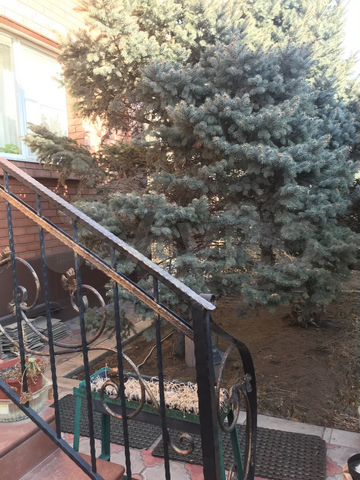 Дом 499 м² на участке 6 сот.