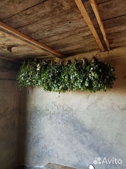 Веники для бани березовые