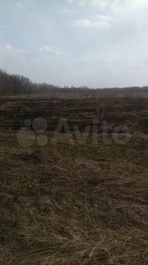 Участок 4,5 га (СНТ, ДНП)