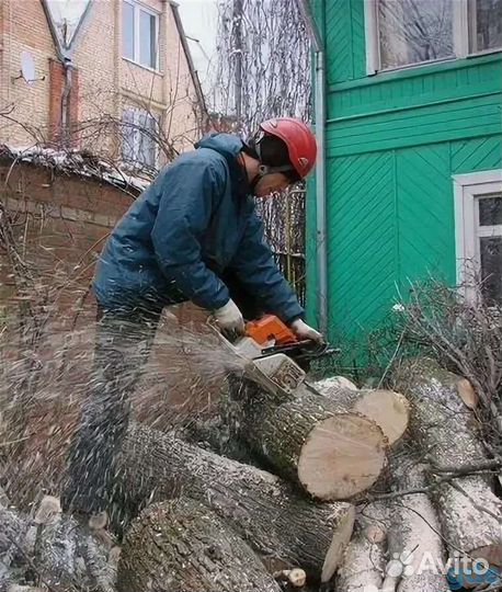 Спил и удаление деревьев