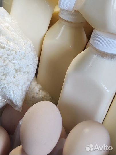 Сливочное масло, сыр,молоко,творог,сметана,косичка