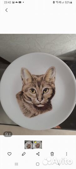 Тарелки Германия