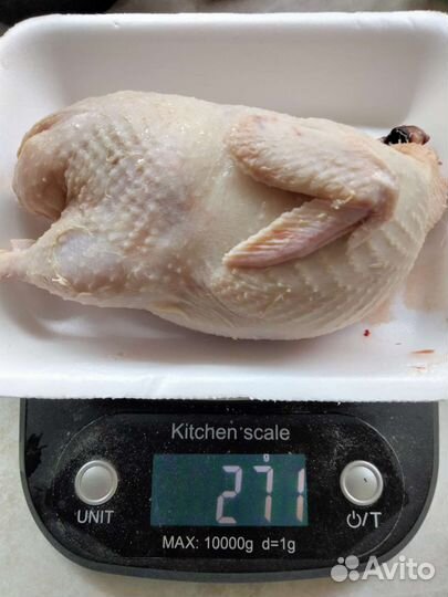 Перепелиное мясо