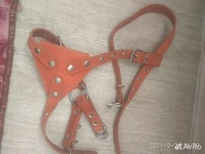 Шлейка для собаки