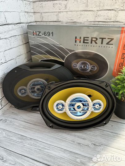 Динамики hertz овалы