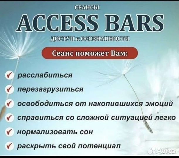 Сессия Аксесс Барс, Access Bars