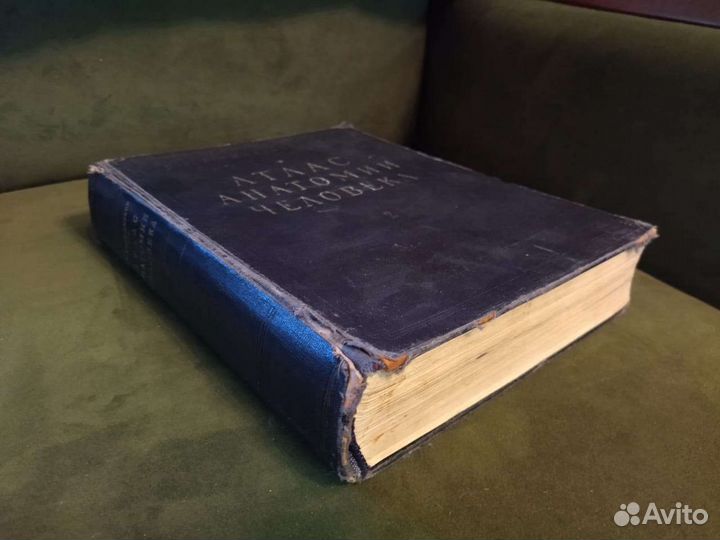 Атлас анатомии человека. Том 2