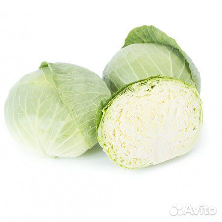 Семена Капусты 