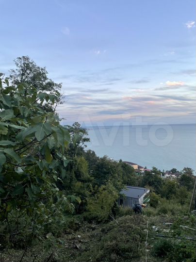 Участок 3,5 сот. (СНТ, ДНП)