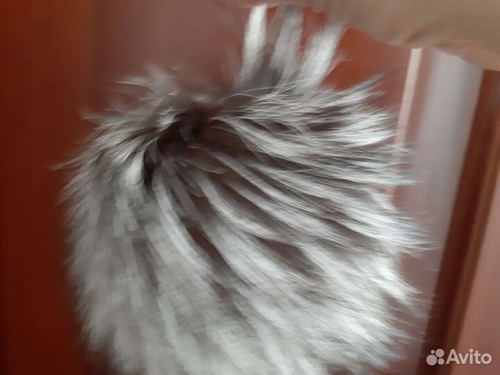 Шапка вязанная из пряжи кашемир. Помпон -песец