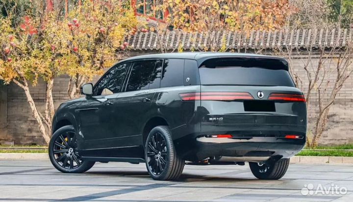 Denza N9 2.0 CVT, 2025, 2 км