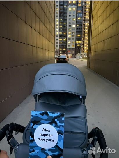 Коляска ray Corsa 2 в 1