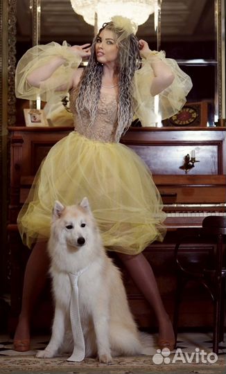 Рыжий «Волк» на Вашу фотографию