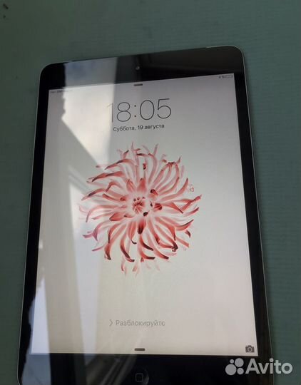 iPad mini 1