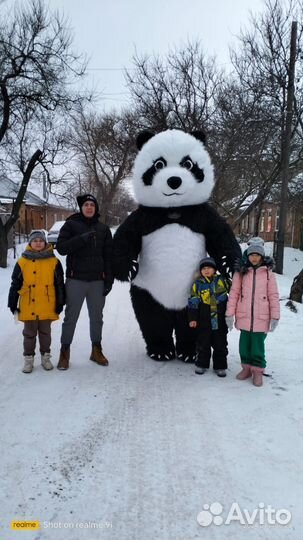 Поздравление от панды