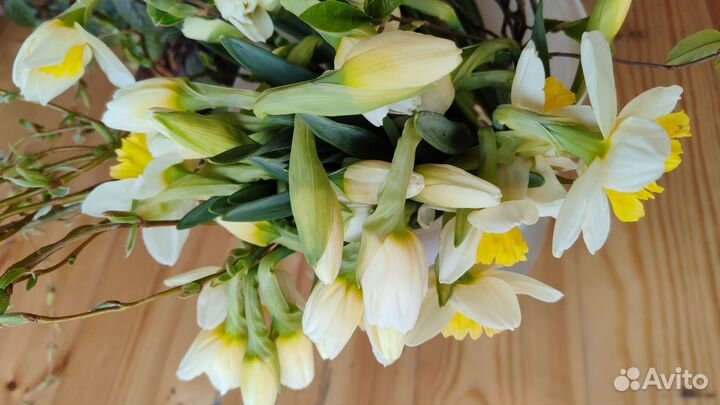 Букет нарциссы живые цветы срезка