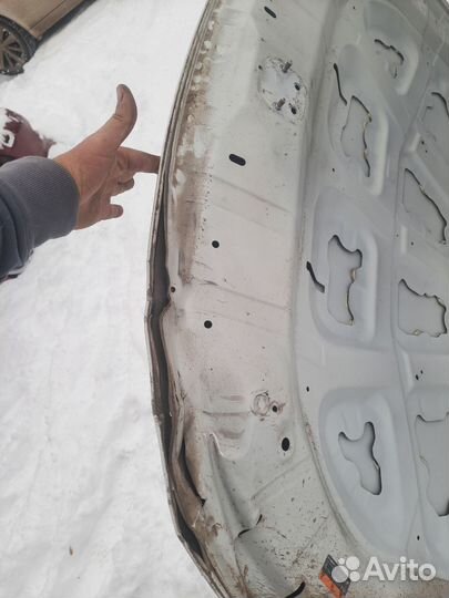 Капот на субару легаси 2017