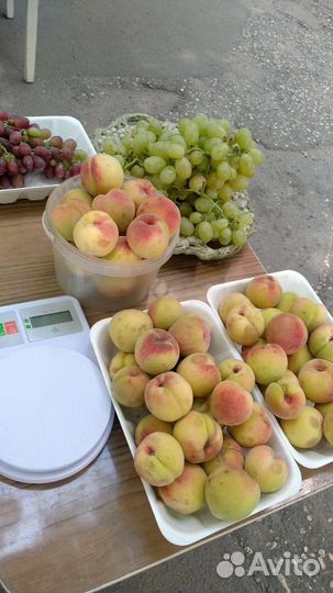 Саженцы Персика и вишня Морель