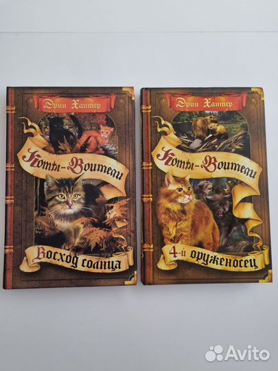 Коты воители. Четвёртый оруженосец. Восход солнца