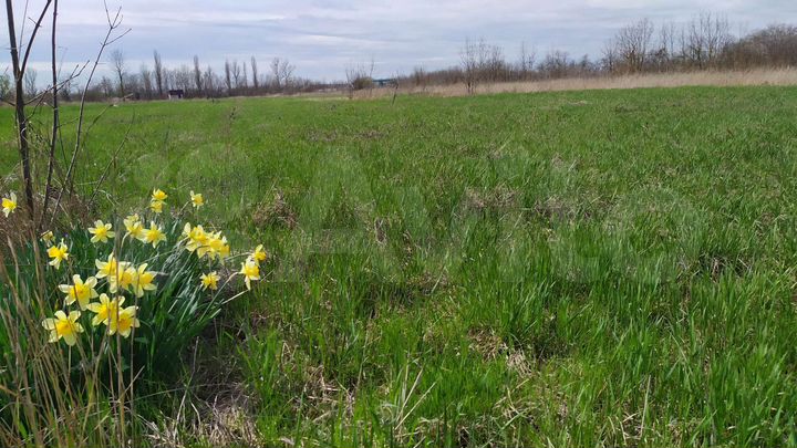 Дача 16 м² на участке 5,8 сот.