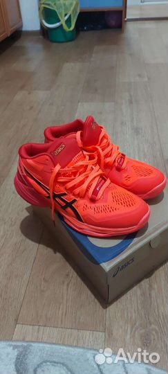 Кроссовки мужские asics sky elitte FF MT 2 tokyo