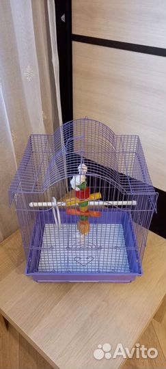 Клетка для попугая или канарейки