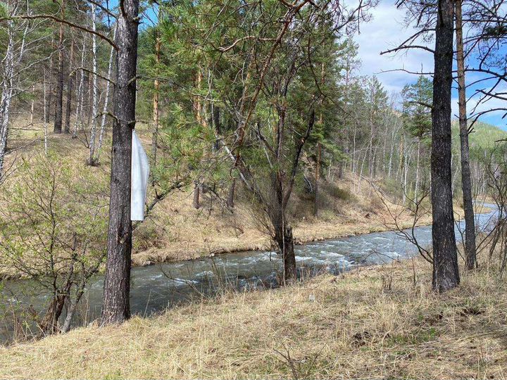 Участок 80 сот. (ИЖС)