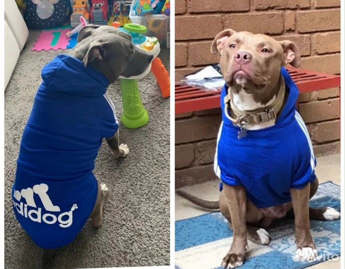 Одежда для крупных собак