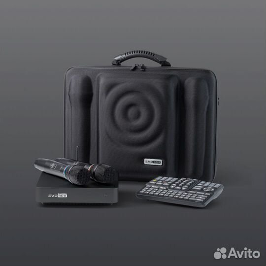 Караоке Evobox Plus черный