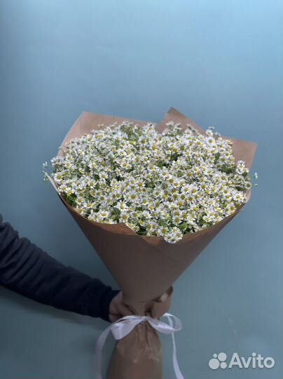 СНТ ромашка